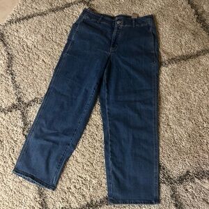 Banana Republic High Rise Straight Fit Trouser Jeans